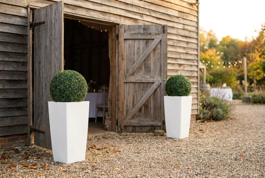 Two artificial boxwood balls in tall white planters at the doors of a barn venue