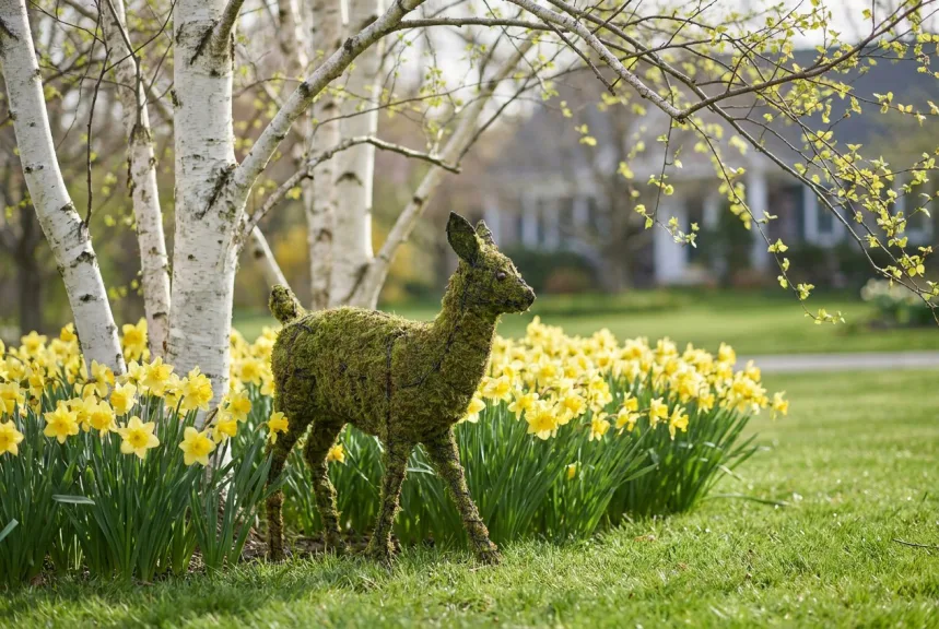 A mossed fawn topiary standing among daffodils under white birch trees