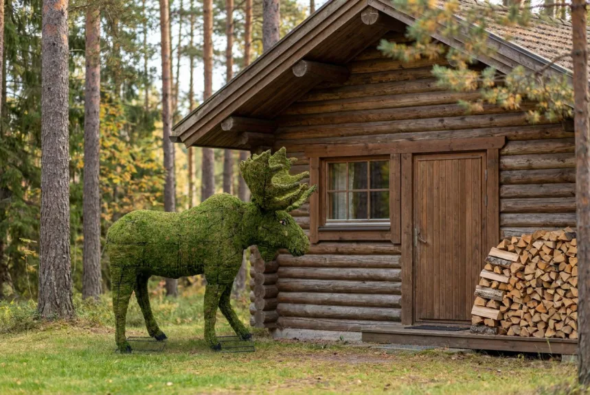 A large mossed moose topiary with broad antlers standing beside a log cabin among pines