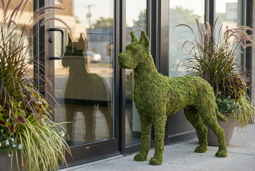 Concept rendering of a life-size moss Great Dane topiary beside a clinic entrance
