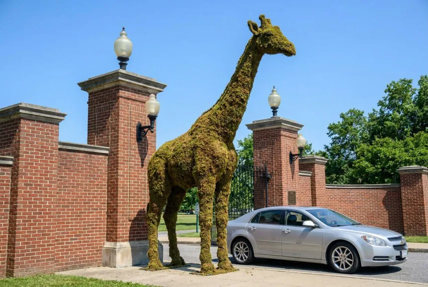 Concept rendering of a very tall mossed giraffe standing beside the entrance gate of a park