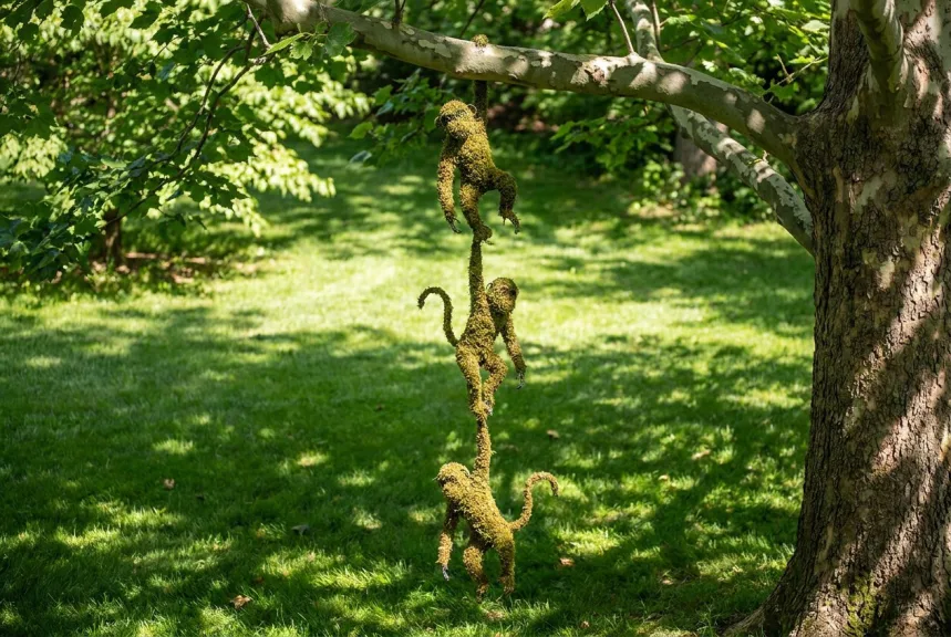 Concept rendering of mossed monkeys hanging hand to tail from a tall tree