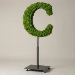 Monogram letter C topiary in Cinzel style, packed with green moss, on an adjustable stand