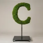 Monogram letter C topiary in Roman style, packed with green moss, on an adjustable stand