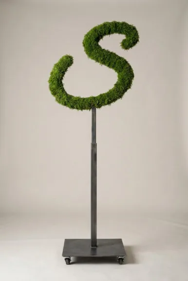 Monogram letter S topiary in Flowing script style, packed with green moss, on an adjustable stand