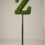 Monogram letter Z topiary in Custom style, packed with green moss, on an adjustable stand