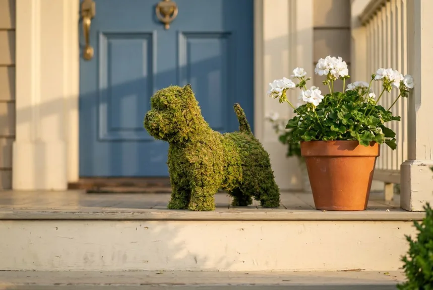 A moss covered Westie dog topiary standing on a painted wooden porch step