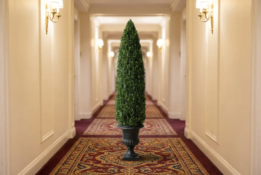 A tall preserved boxwood cone in a black urn at the end of a hotel corridor
