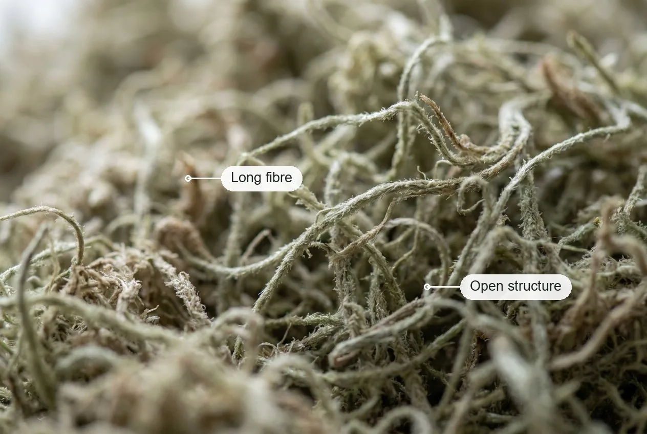 Close-up of loose long-fibre sphagnum moss, with the long springy strands and the open tangle labelled