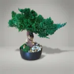 Small preserved bonsai with a natural wood trunk in a black ceramic pot, moss and stones over the surface
